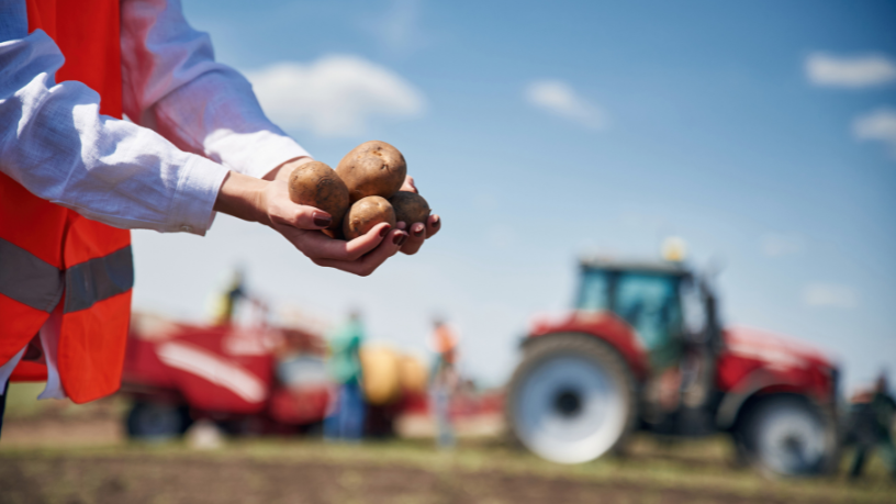 Agropecuária Grama Roxa Ltda