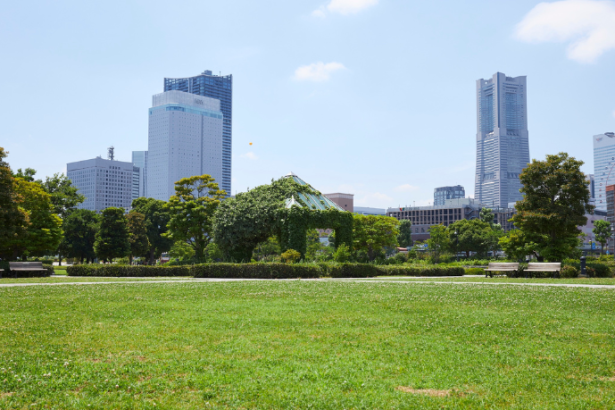A EBS – Empresa Brasileira de Saneamento LTDA mostra como a drenagem sustentável protege cidades contra enchentes e degradação ambiental.