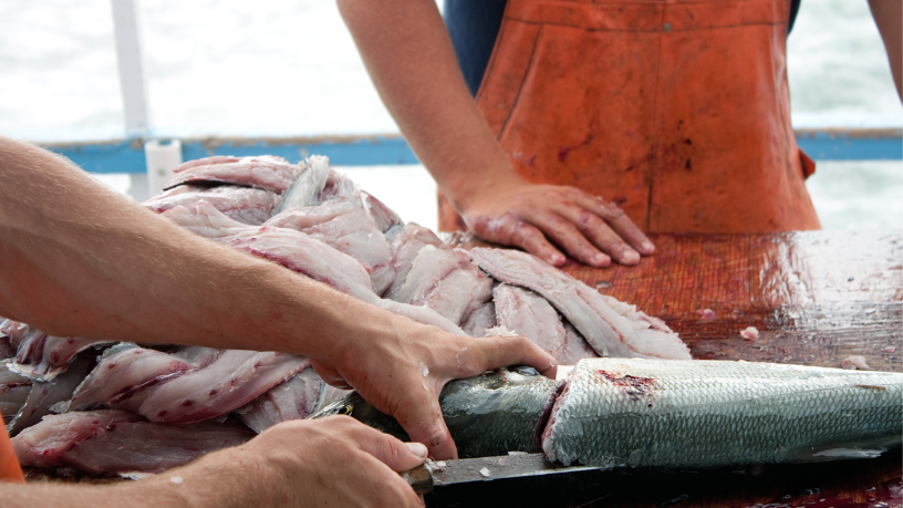 A pesca é mais do que um hobby — é uma herança que atravessa gerações, afirma Joel Alves.