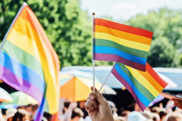 Políticas Públicas Inclusivas: Caminhos para Fortalecer os Direitos da População LGBTQIA+