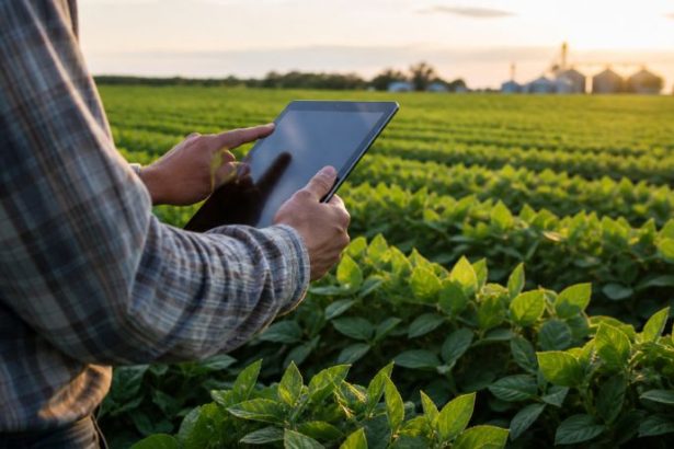 Tecnologia no campo impulsiona produção no interior e redefine o futuro do agronegócio