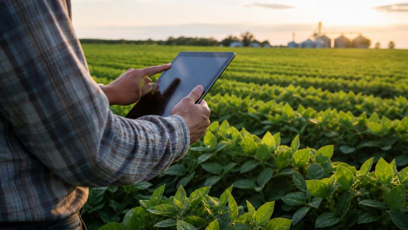 Tecnologia no campo impulsiona produção no interior e redefine o futuro do agronegócio